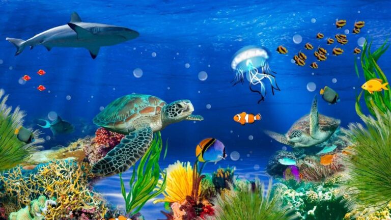 Imagem do oceano