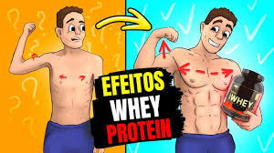 O QUE ACONTECE COM SEU CORPO SE TOMAR WHEY PROTEIN TODOS OS DIAS - YouTube