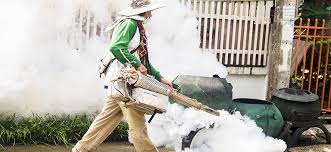 undefined DENGUE: 8 dúvidas sobre a doença para você se proteger — Ministério da Saúde
