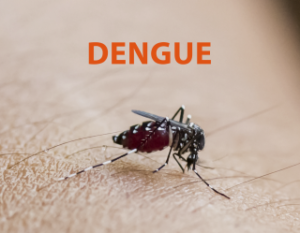 Dengue
